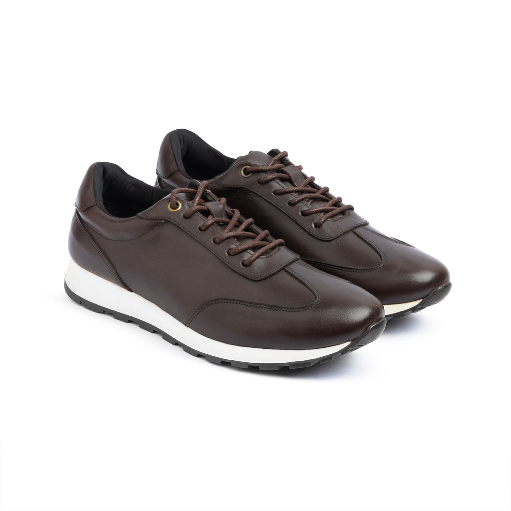 Quality Semi Classic ZD-007 \Brown