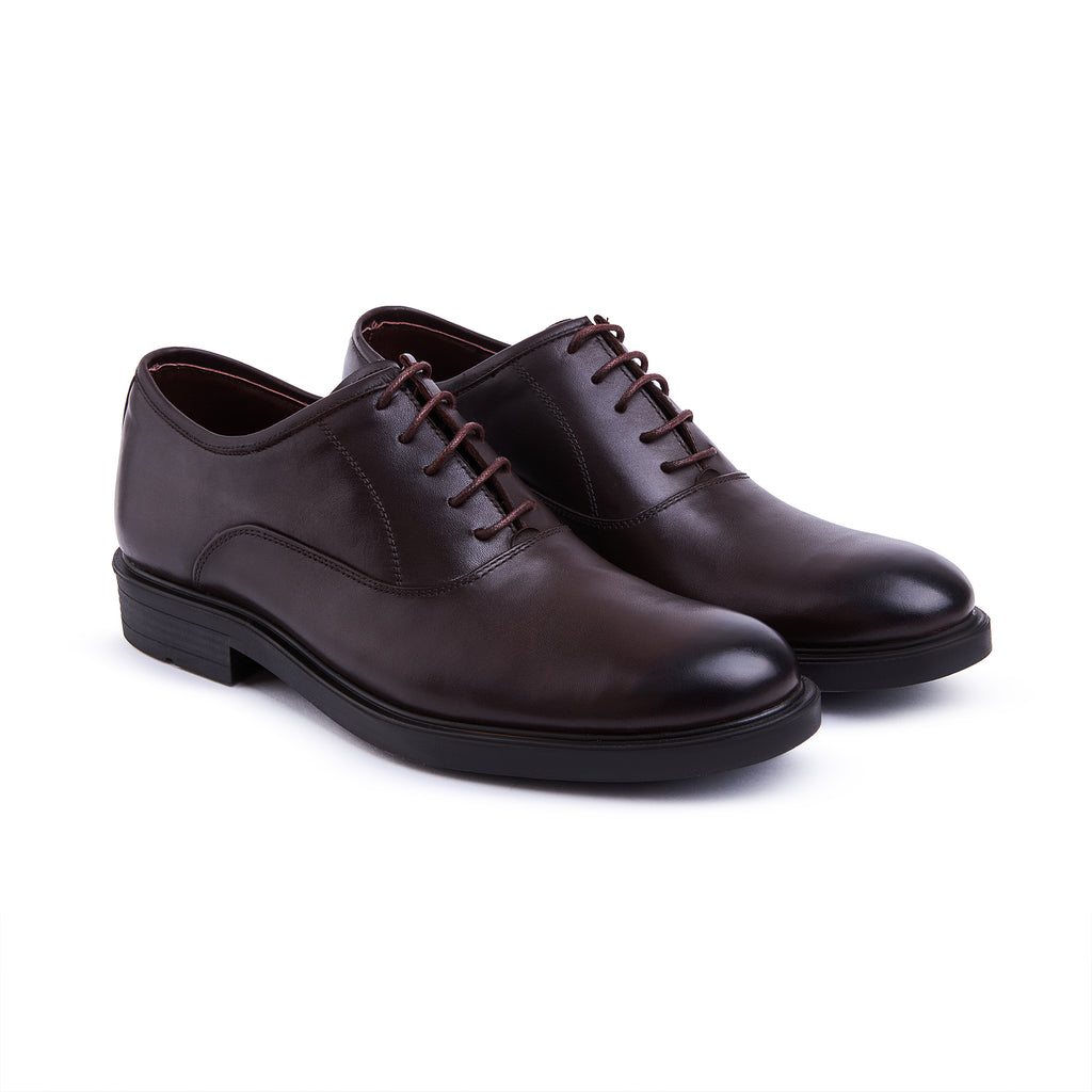 Natural England Classic /  ZD 666 / Brawn